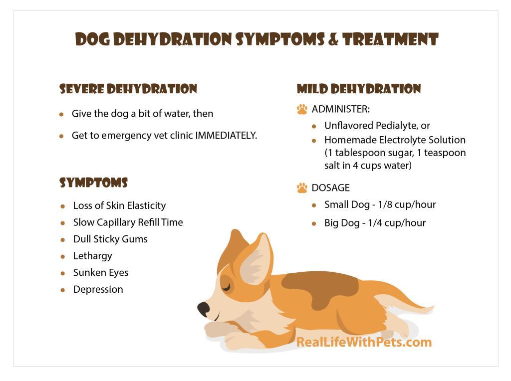 Dehydration symptoms treatment