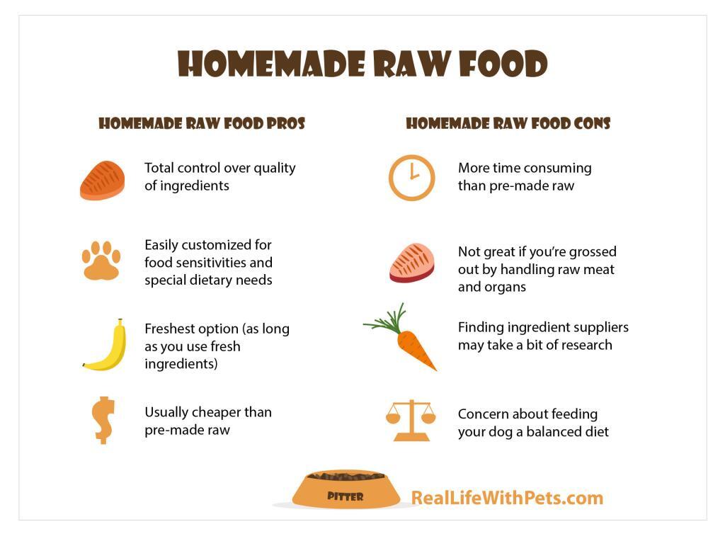 Home made raw food pro & con