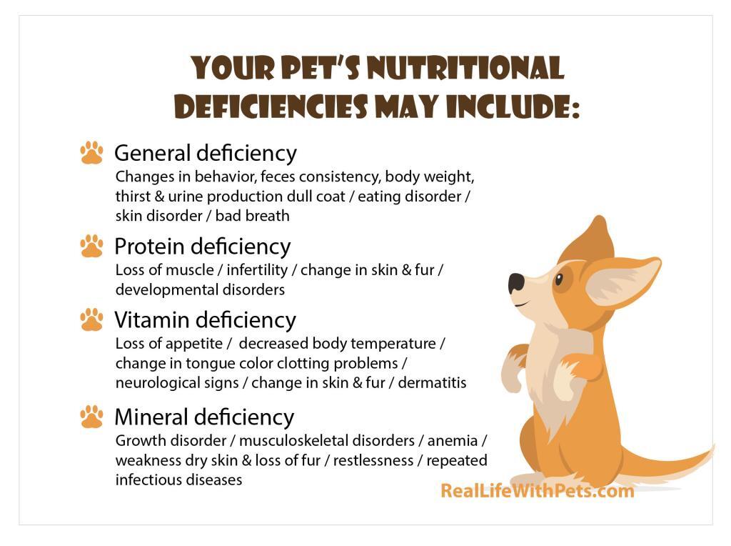 Pets nutritional deficiencies