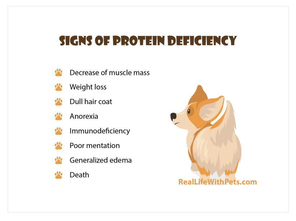 Signs of protein deficiency