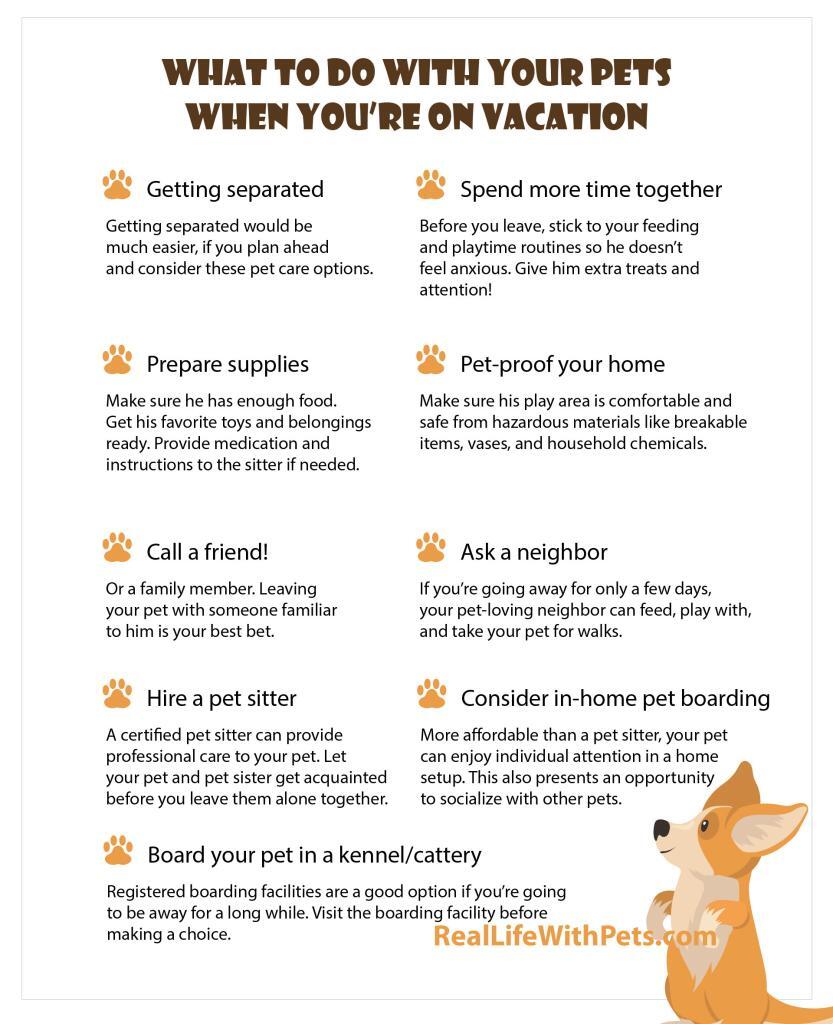 What to do with your pet on vacation